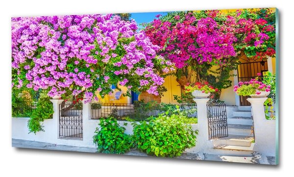 Egyedi üvegkép Ház bougainvillea
