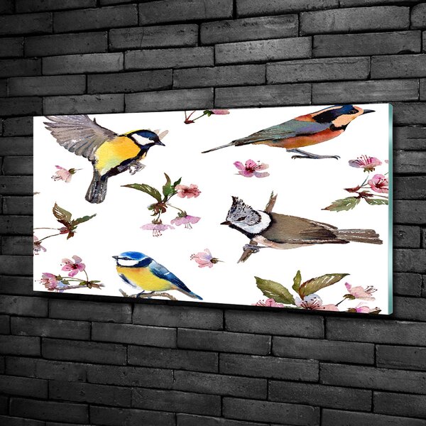 Üvegkép Bird cseresznye virágok