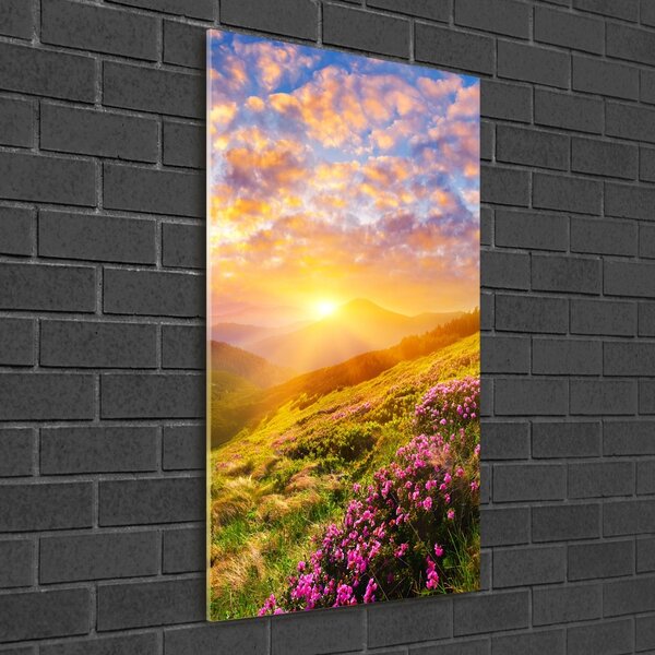 Üvegfotó Sunset hegy