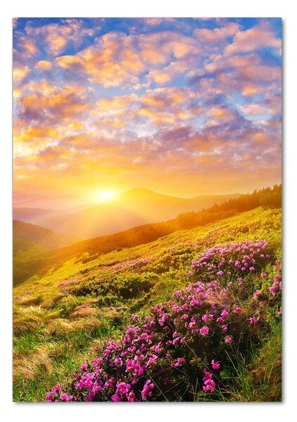 Üvegfotó Sunset hegy