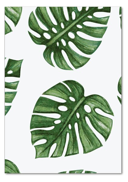 Photo kép üveg Monstera