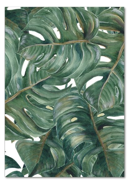 Photo kép üveg Monstera