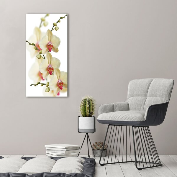 Egyedi üvegkép Orchidea