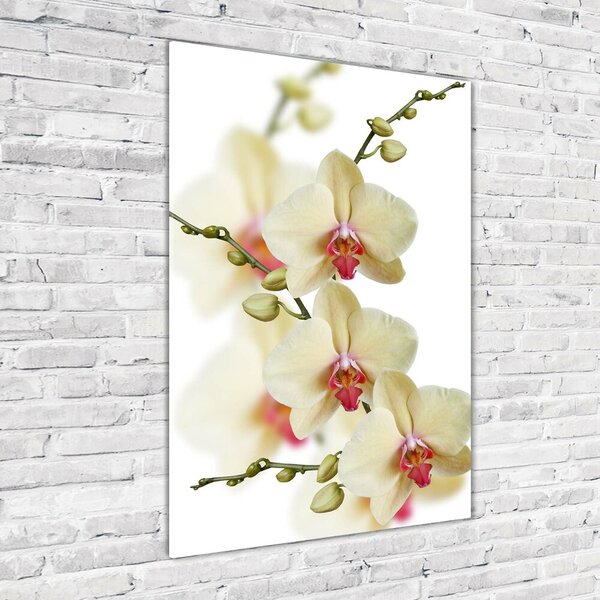 Egyedi üvegkép Orchidea