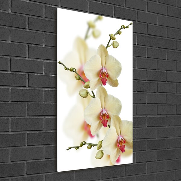 Egyedi üvegkép Orchidea