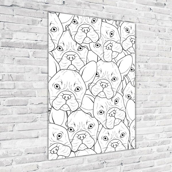 Akrilkép Francia bulldog