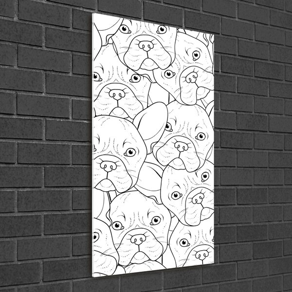 Akrilkép Francia bulldog