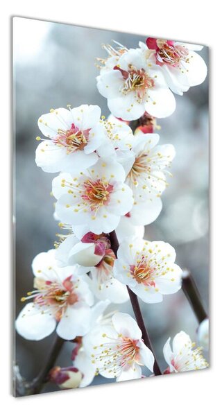 Egyedi üvegkép Cseresznye virágok