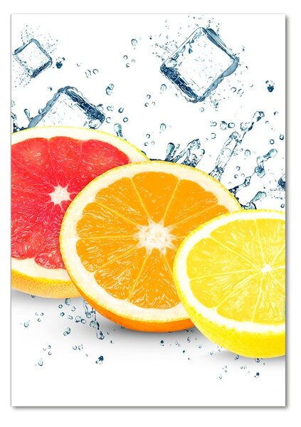 Akril üveg kép Citrusfélék