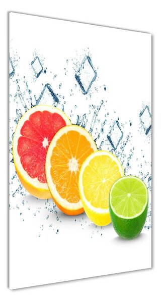 Akril üveg kép Citrusfélék