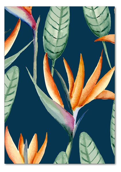 Photo kép üveg Strelitzia reginae