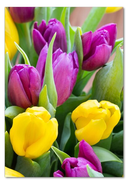 Egyedi üvegkép Színes tulipán