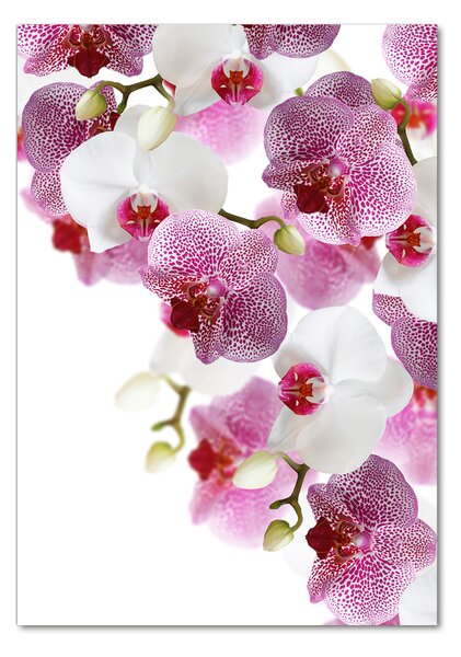 Egyedi üvegkép Orchidea