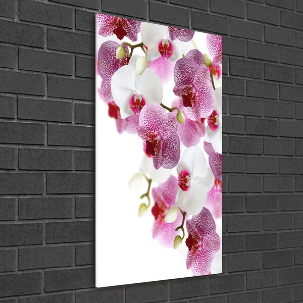 Egyedi üvegkép Orchidea