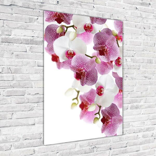 Egyedi üvegkép Orchidea