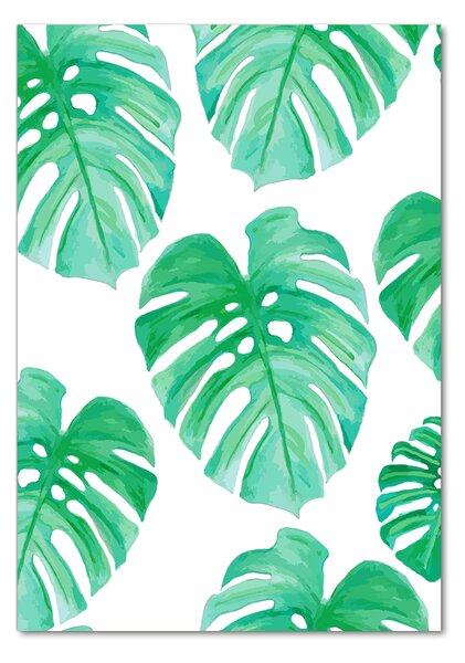 Photo kép üveg Monstera