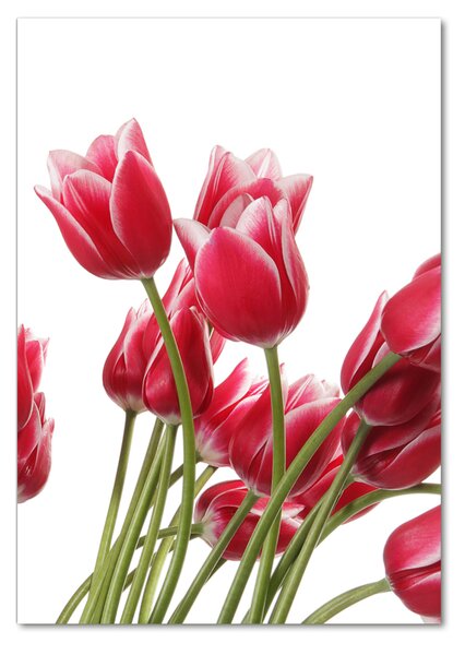 Egyedi üvegkép Piros tulipánok