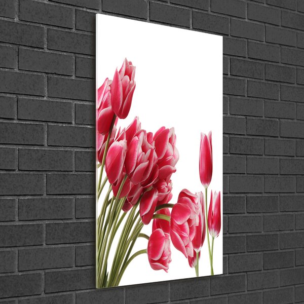 Egyedi üvegkép Piros tulipánok