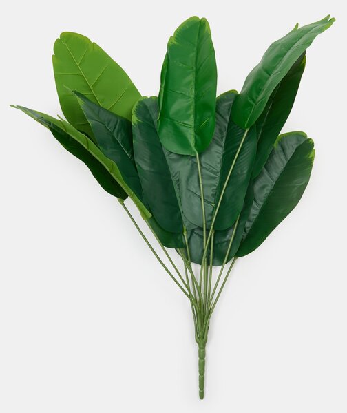 Sinsay - Dísznövény – strelitzia - zöld