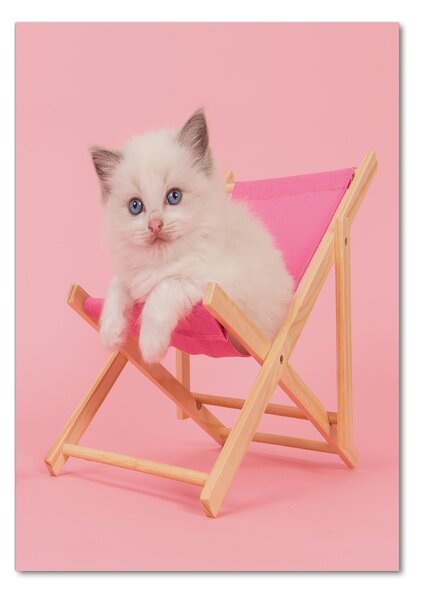 Üvegkép Cat egy nyugágyon