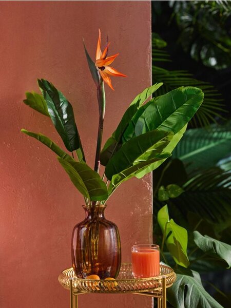 Sinsay - Dísznövény – strelitzia - zöld