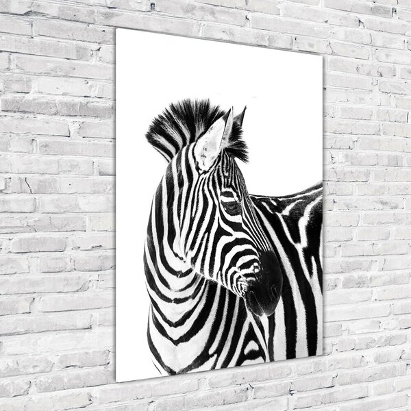 Üvegkép Zebra hó