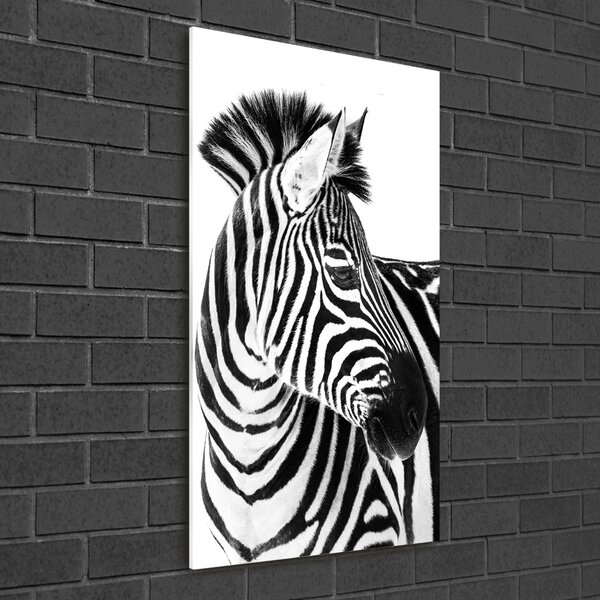 Üvegkép Zebra hó