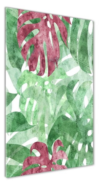 Photo kép üveg Monstera
