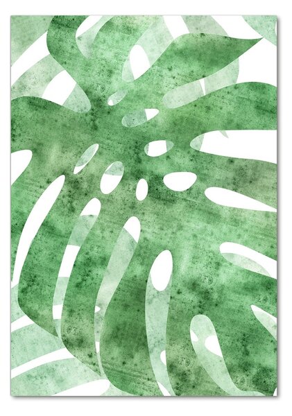 Photo kép üveg Monstera