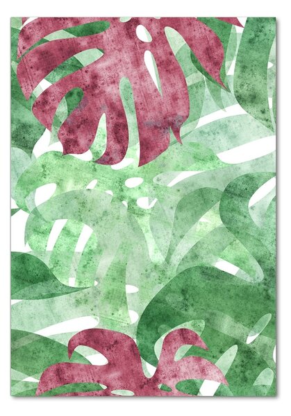 Photo kép üveg Monstera