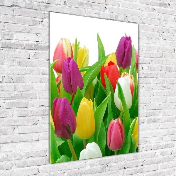 Akrilkép Színes tulipán