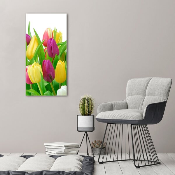 Akrilkép Színes tulipán