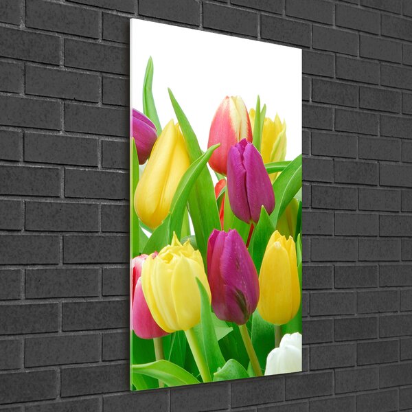 Akrilkép Színes tulipán