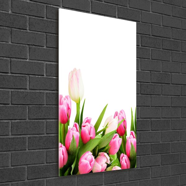 Egyedi üvegkép Rózsaszín tulipánok