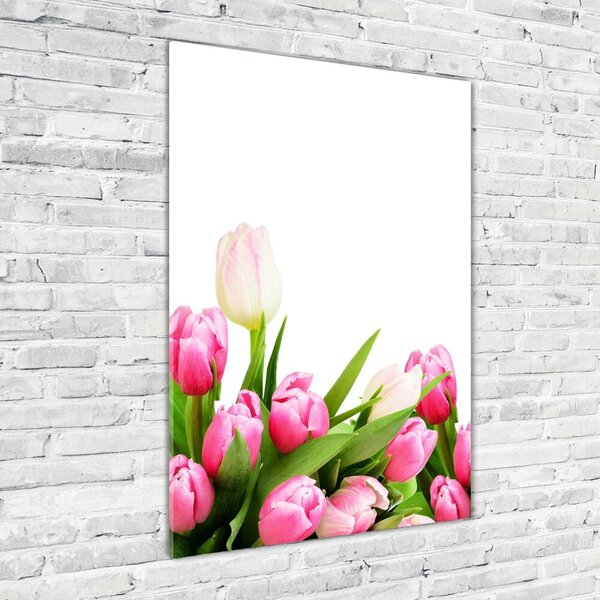 Egyedi üvegkép Rózsaszín tulipánok