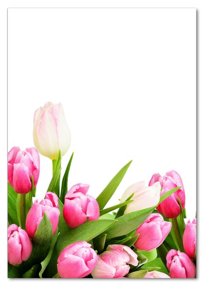 Egyedi üvegkép Rózsaszín tulipánok