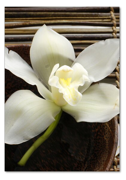 Egyedi üvegkép Orchidea