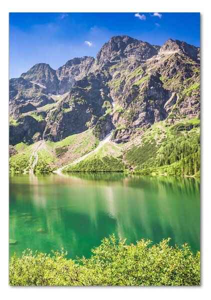 Üvegfotó Marine szem tatry