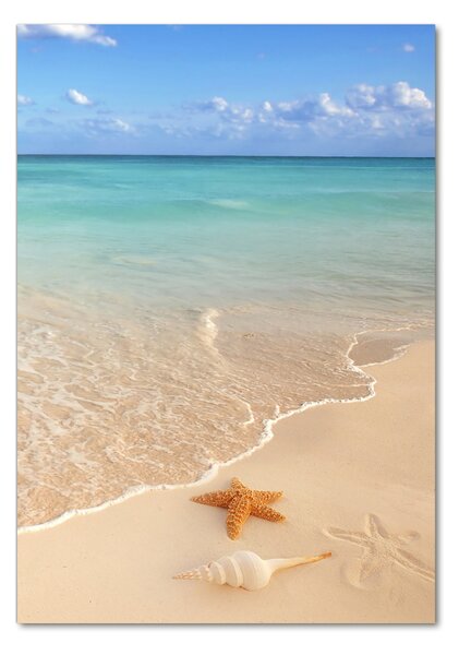 Üvegfotó Starfish a strandon