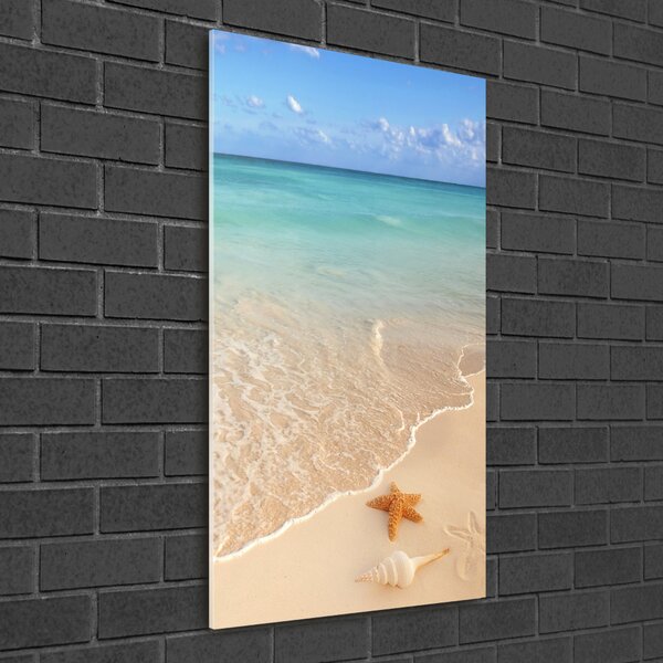 Üvegfotó Starfish a strandon