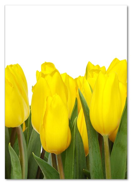 Egyedi üvegkép Sárga tulipánok
