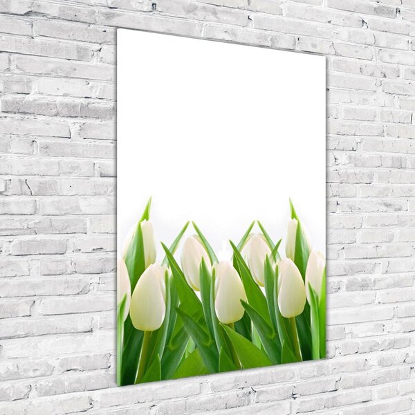 Egyedi üvegkép Fehér tulipán
