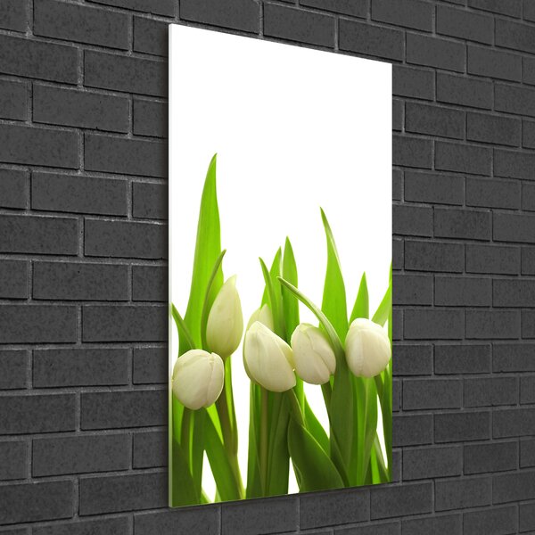 Egyedi üvegkép Fehér tulipán