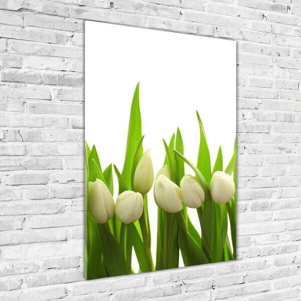 Egyedi üvegkép Fehér tulipán