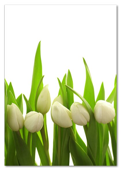 Egyedi üvegkép Fehér tulipán