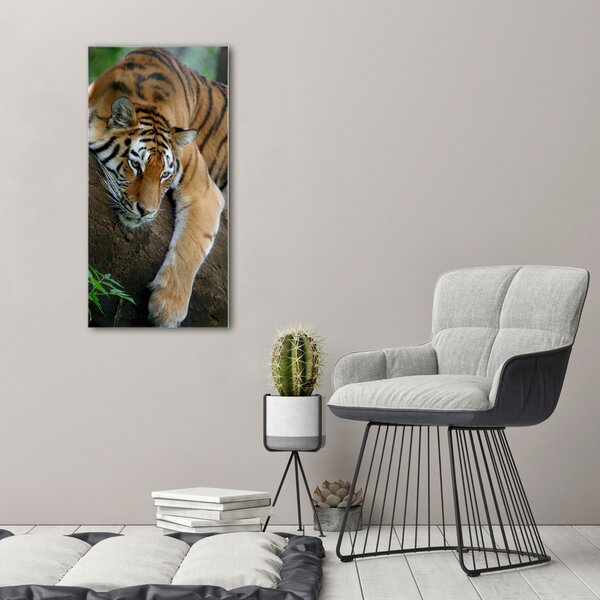 Üvegkép Tiger a fán