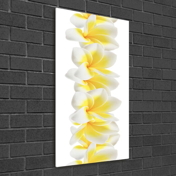 Egyedi üvegkép Plumeria