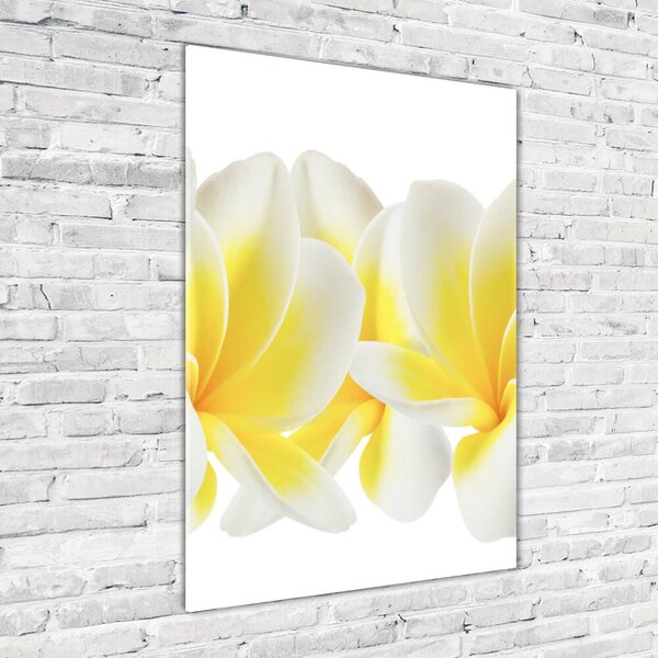 Egyedi üvegkép Plumeria