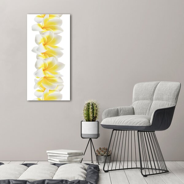 Egyedi üvegkép Plumeria