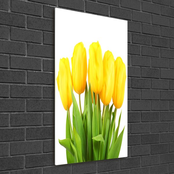 Akrilkép Sárga tulipánok